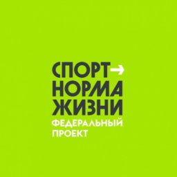 Реализация федерального проекта &laquo;Спорт - норма жизни&raquo; в 2020 году в Ингушетии